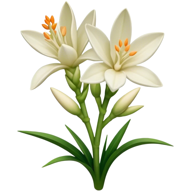 Tuberose emoji
