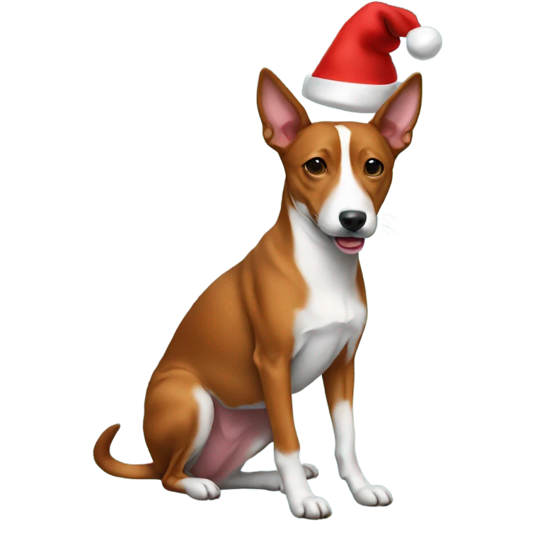 Basenji wearing a Christmas hat emoji