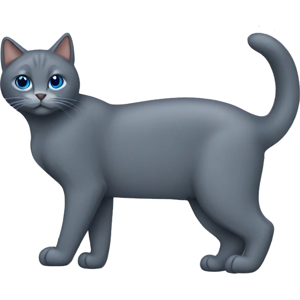 Gato  gris oscuro azul ruso sin manchas emoji