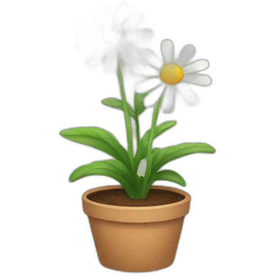 Daisie flower in a pot emoji