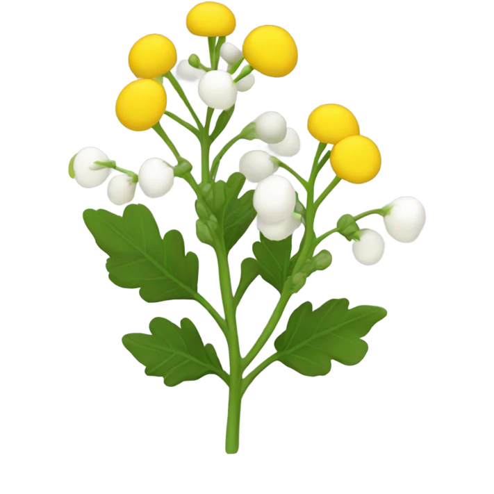 white mustard plant emoji