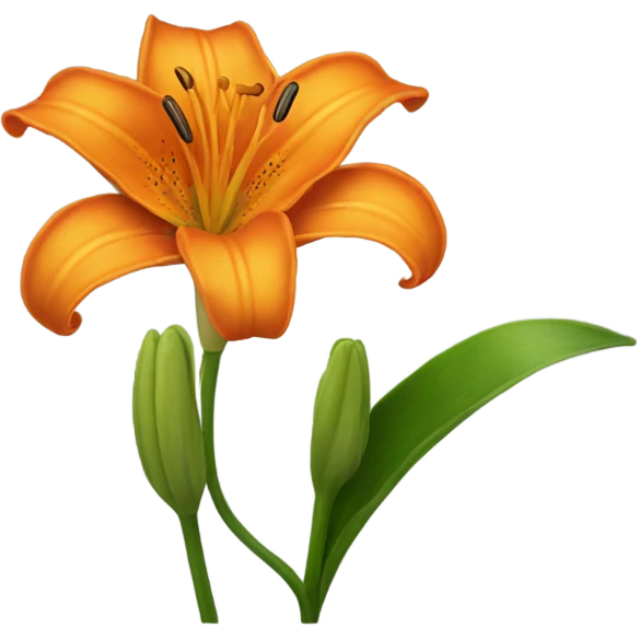 one orange lily emoji