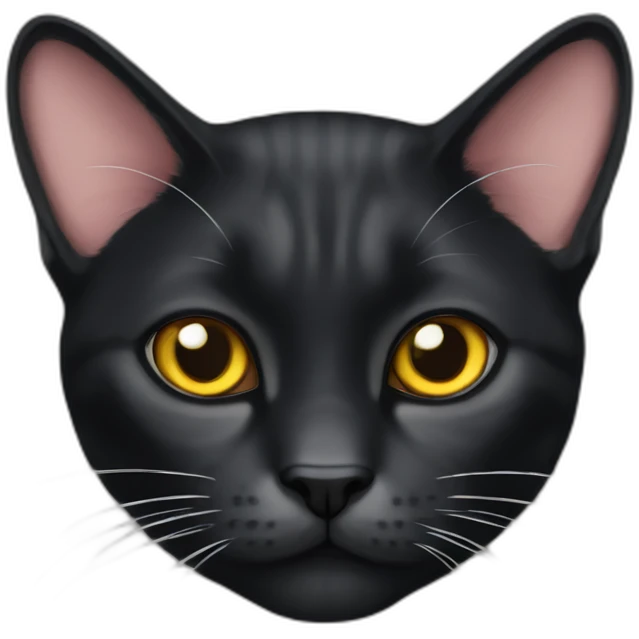 black garffield cat emoji
