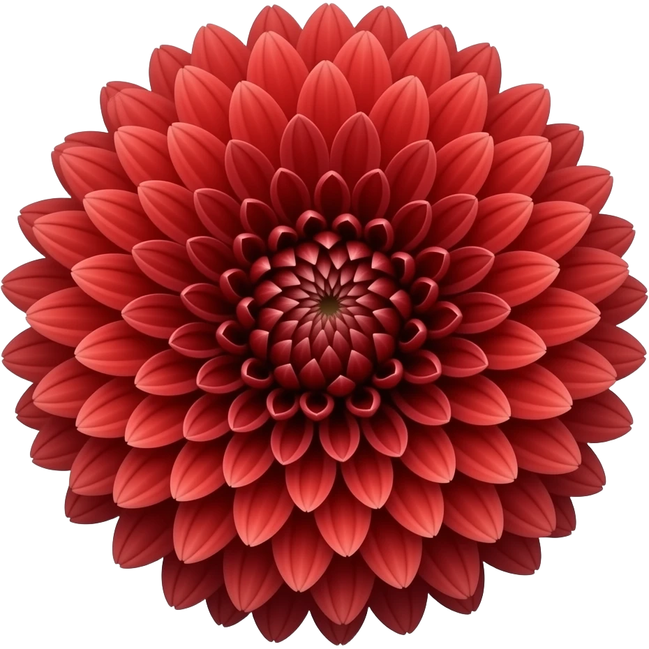 chrysanthemum flower full red emoji
