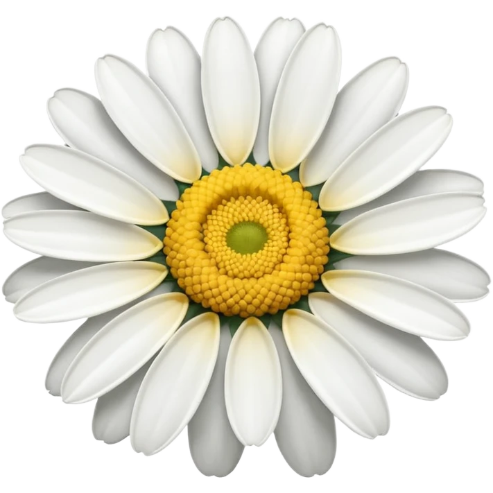 Marguerite flower  emoji