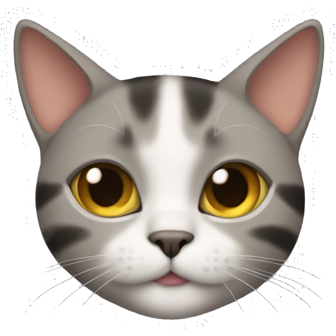 Cat Wearing cloves emoji