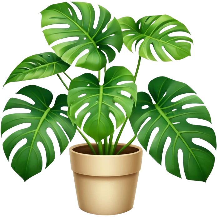 Monstera plant emoji