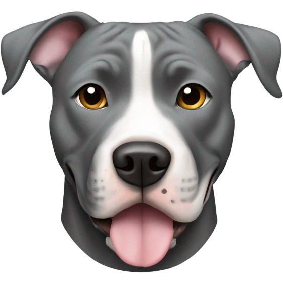 Gray pit bull wearing commander emoji