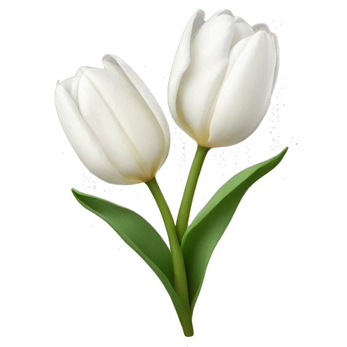 white tulips with bow emoji