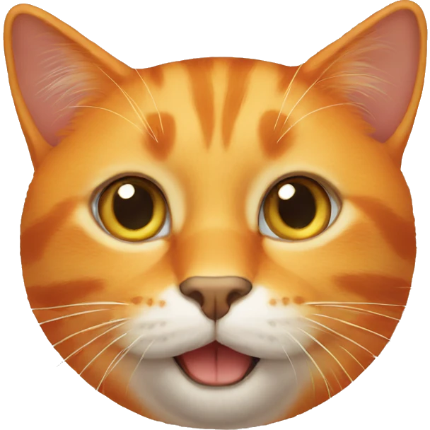 orange cat emoji