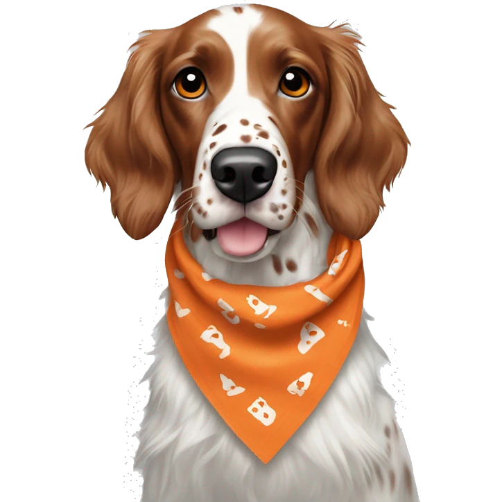 orange belton english setter with virginia tech bandana emoji