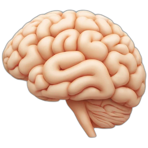 the human brain is wired to share emoji