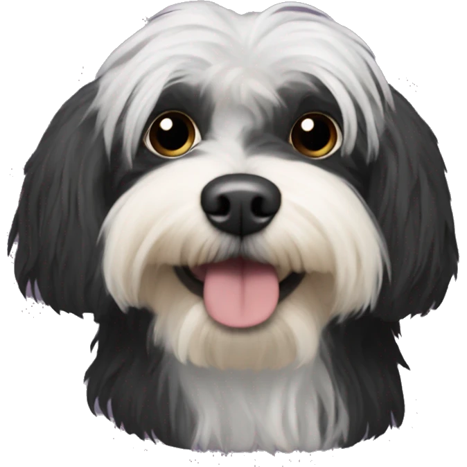 black havanese dog wearing a ski mask emoji