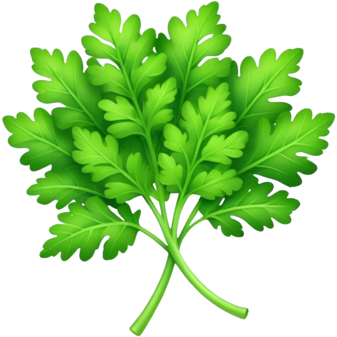 Cinematic Realistic Parsley Emoji, Fresh and vibrant, with bright green, frilly leaves that seem to shimmer with vitality. The plant exudes a sense of healthy growth and aromatic zest, inviting both beauty and flavor into any dish. Soft glowing outline, capturing the essence of freshness, health, and culinary delight in a sprig of parsley! emoji