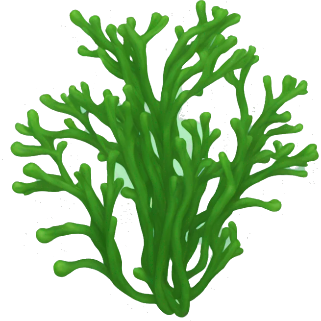 Seaweed emoji