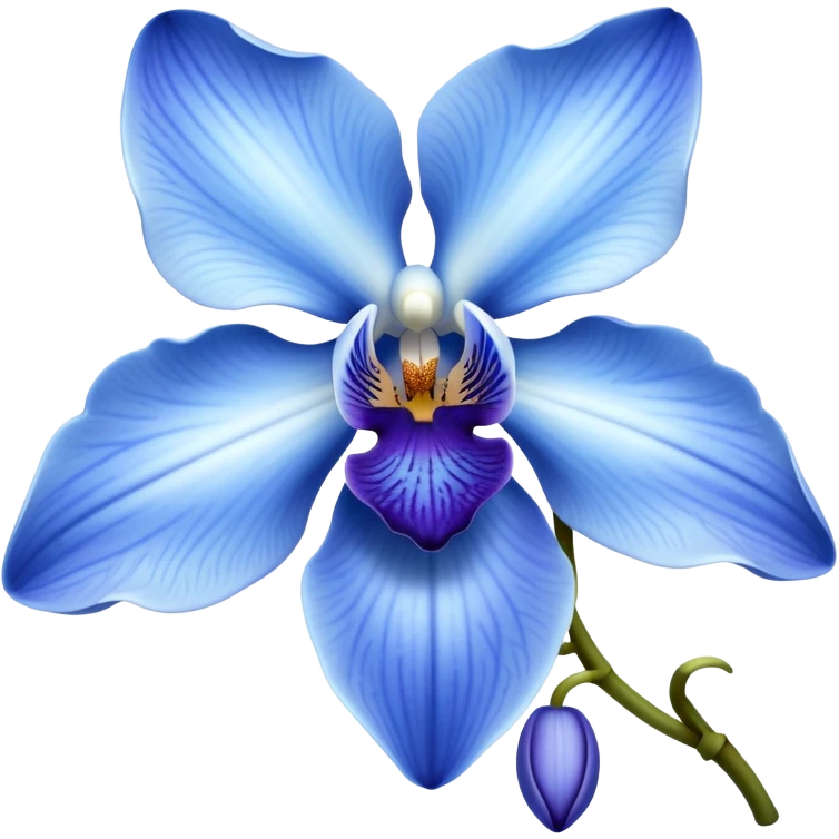 Blue orchid flower emoji