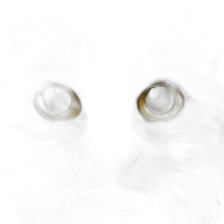Cat emoji