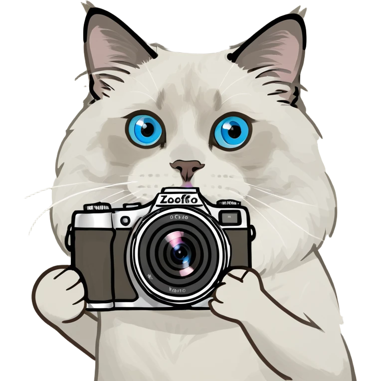 Ragdoll cal holding a camera  emoji
