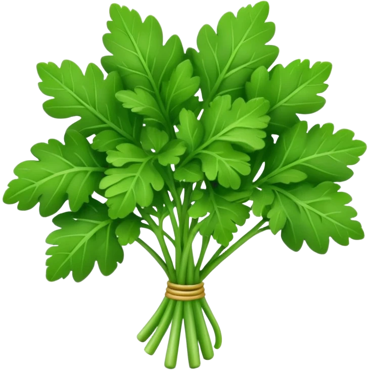 Apple style 3D emoji of fresh parsley, small green leaves with curly texture, shiny and smooth, simple toy-like look, similar to official Apple food emojis. emoji