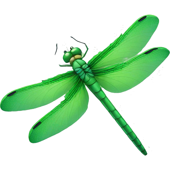 Green dragonfly emoji