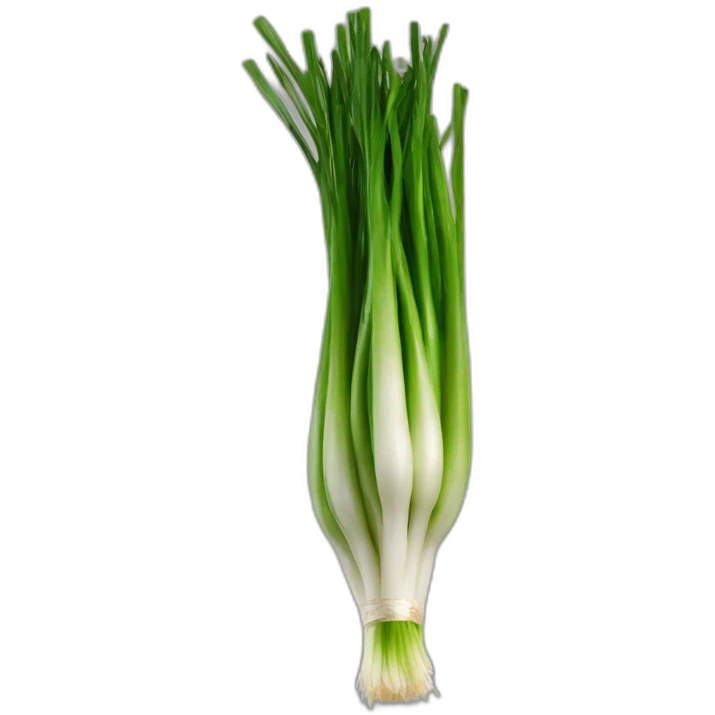 dr spring onion emoji