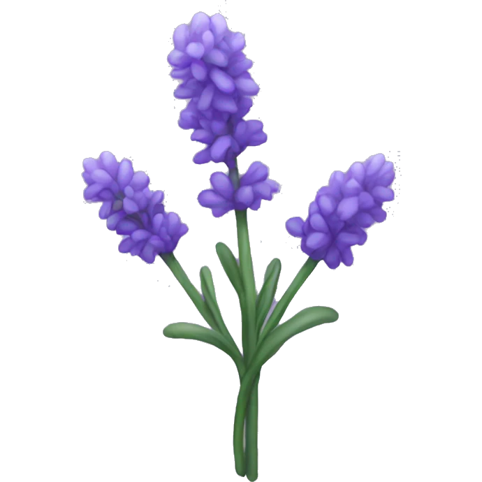 Lavender emoji