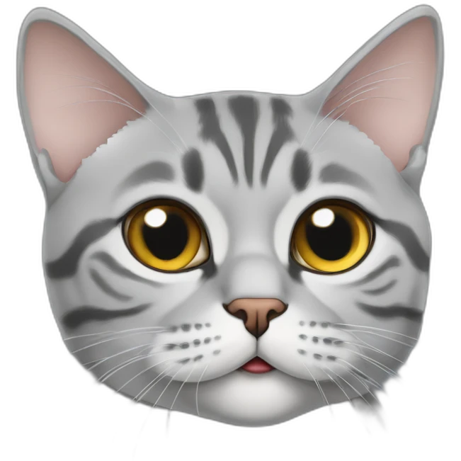 cat-grey-American shorthair cat-A puzzled expression emoji