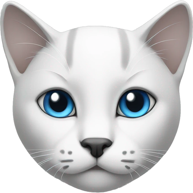 cat black and white blue eyed emoji