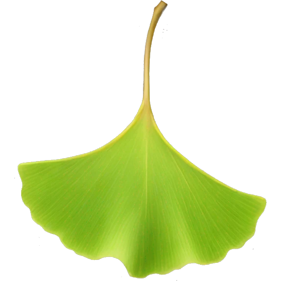 Ginkgo emoji