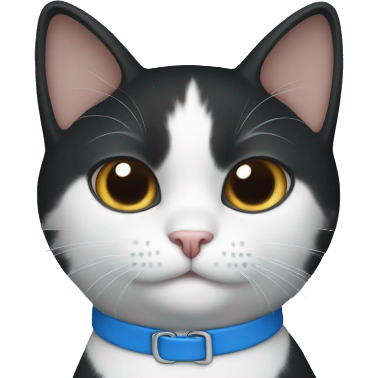 Black and white cat with blue collar  emoji