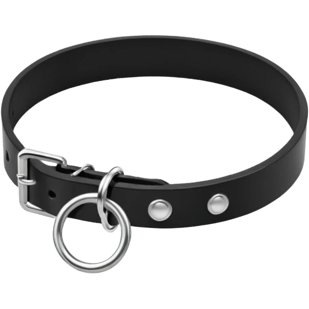 Collar – black leather with silver O-ring. emoji