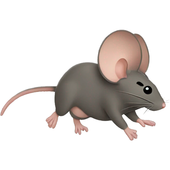 Mouse flying on a carpet emoji