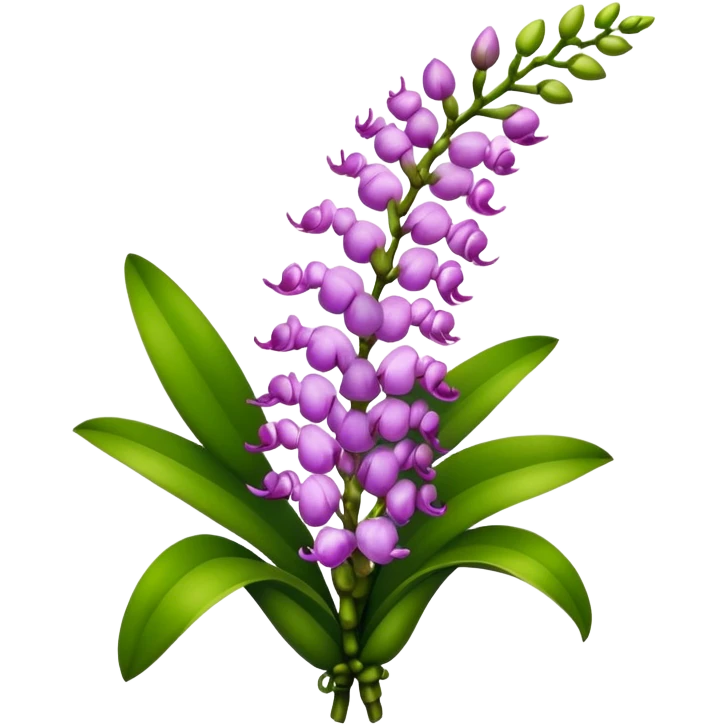 luxuriant bouquet Rhynchostylis Orchid, stem, leaf emoji