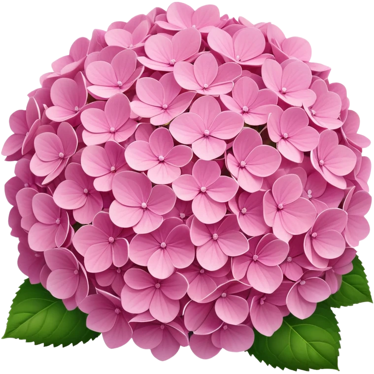 pink hydrangea  emoji