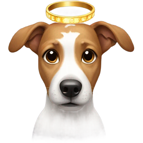 Dog wearing halo emoji