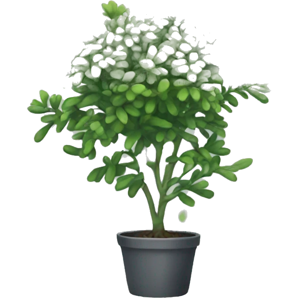 Rue plant emoji