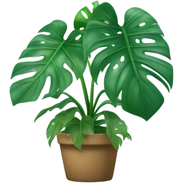 Monstera Plant emoji