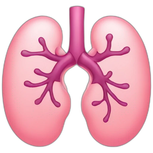 Kidney emoji