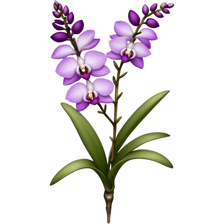 single white purple Rhynchostylis Orchid, 
straight stem emoji