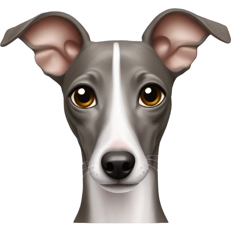 italian greyhound emoji
