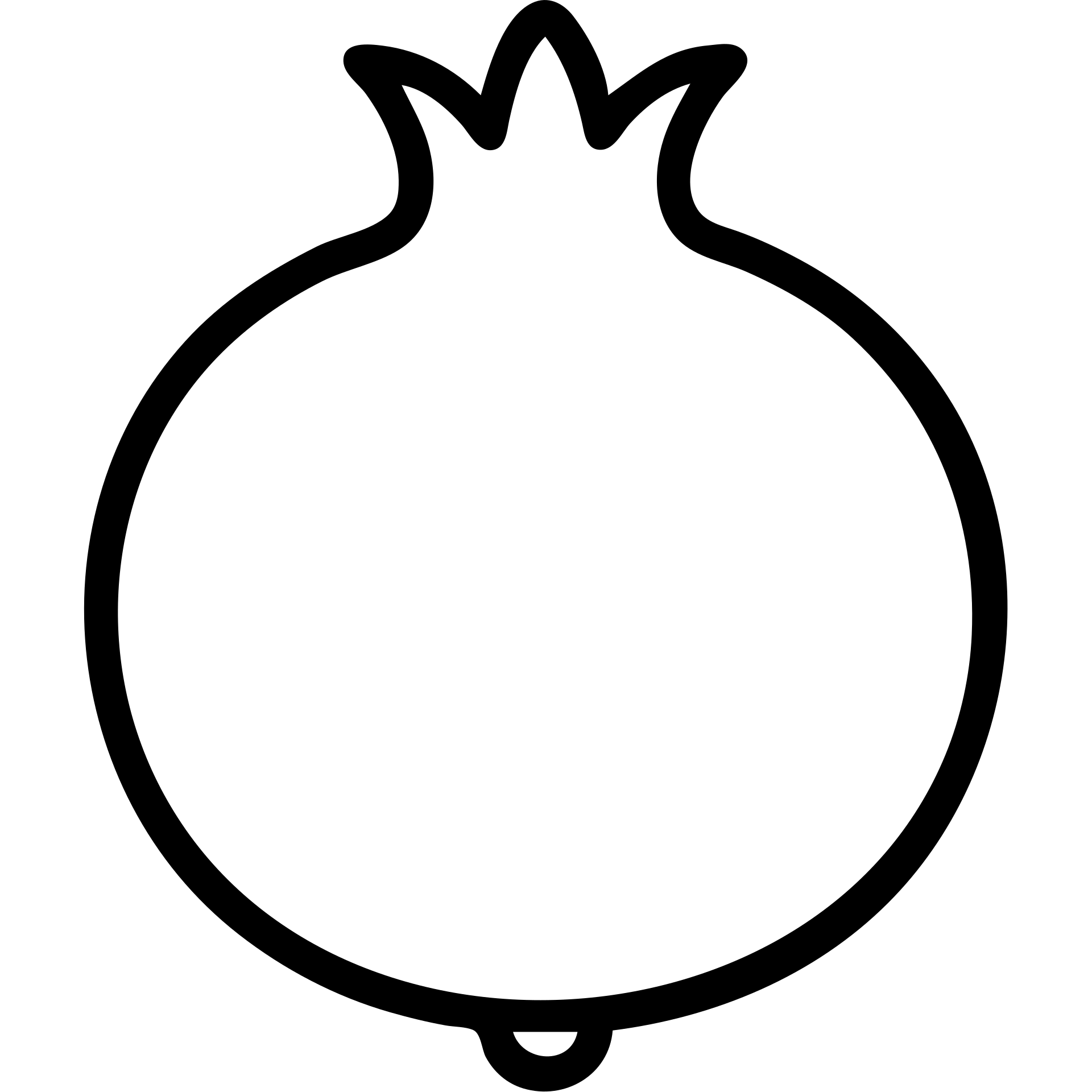 outlined pomegranate icon emoji