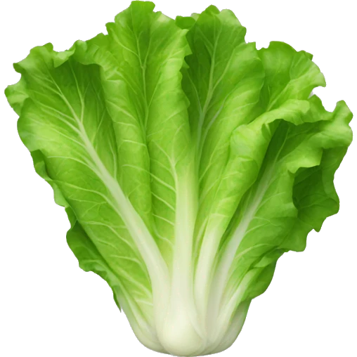 Lettuce emoji
