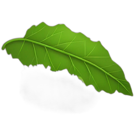 Rolled grape leaf with rice inside emoji