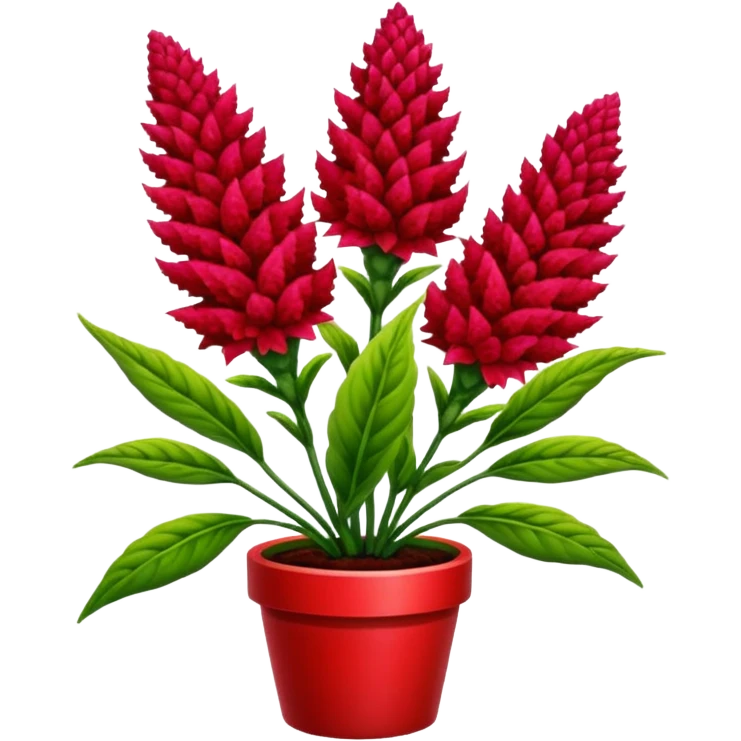 celosia plant emoji