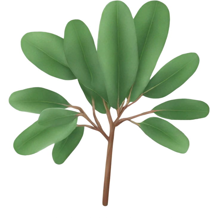 Eucalyptus  emoji