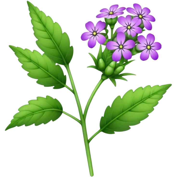 Verbena flower, leaf, bud, stalk emoji