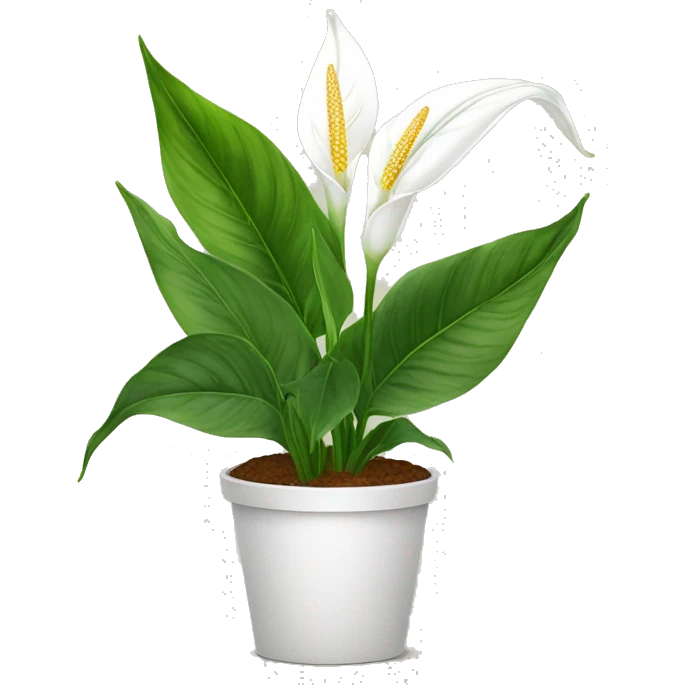 Peace lilies plant emoji
