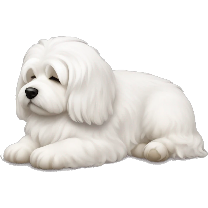 Coton de tulear dog sleeping emoji