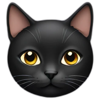 Cat black emoji