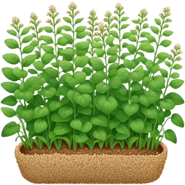 buckwheat coverrop emoji